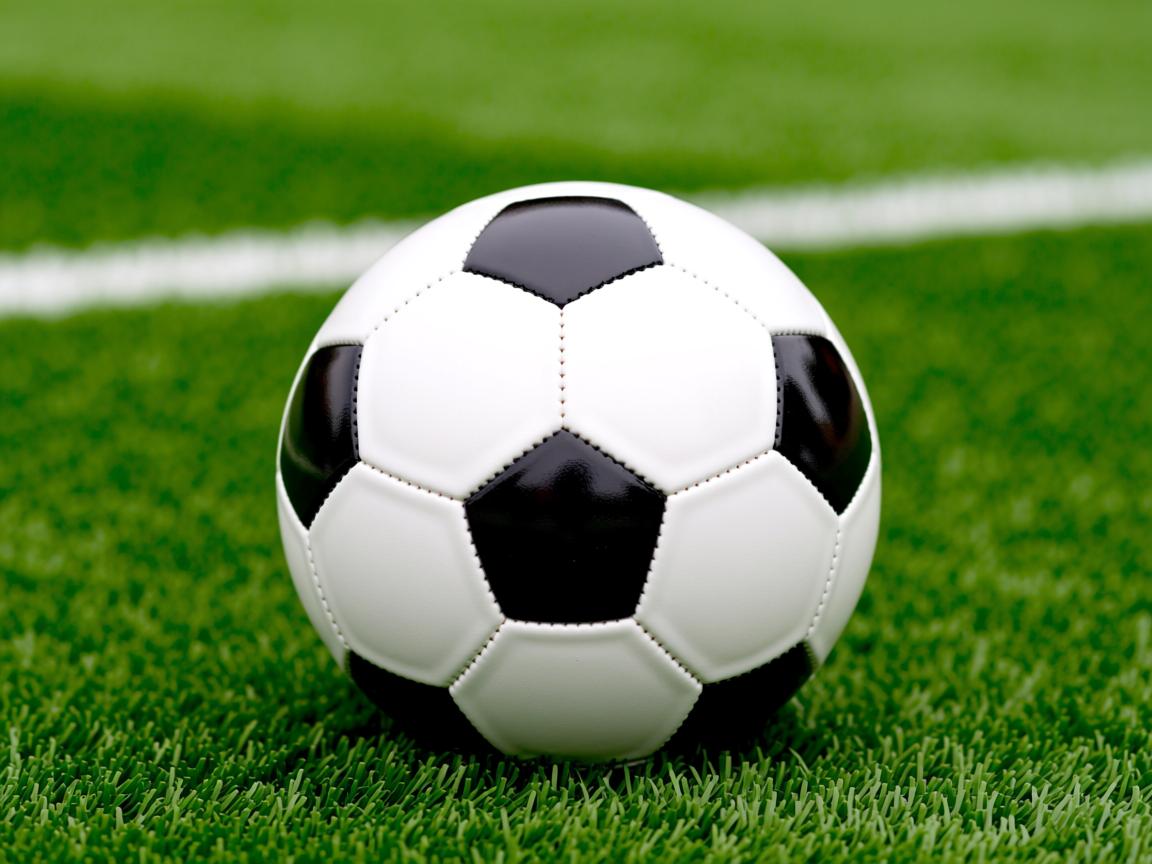 开云体育登录入口-200蝶划频变化与疲劳关系  第2张