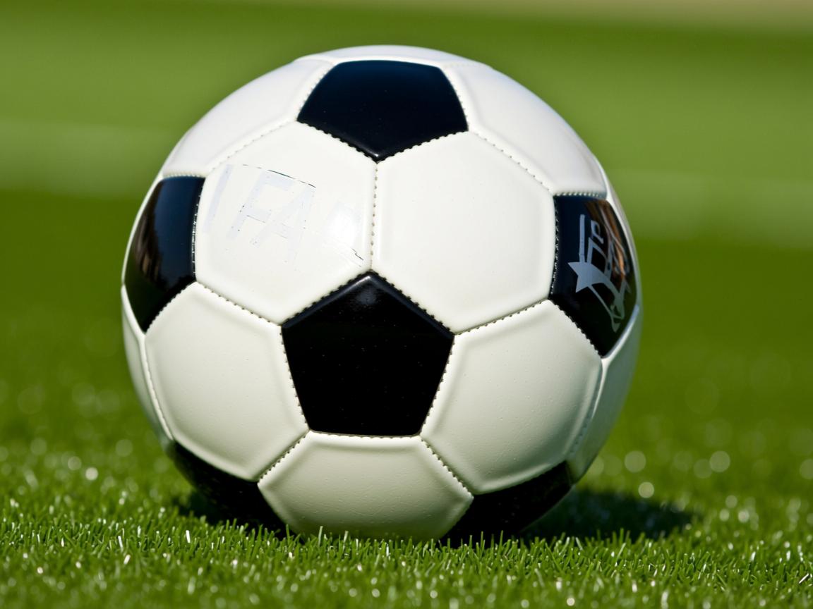 开运体育电脑版-200蝶泳冠军前100米配速略快策略见效，蝶泳200米纪录  第2张